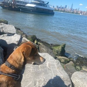 Meet your Posher, Jeffrey